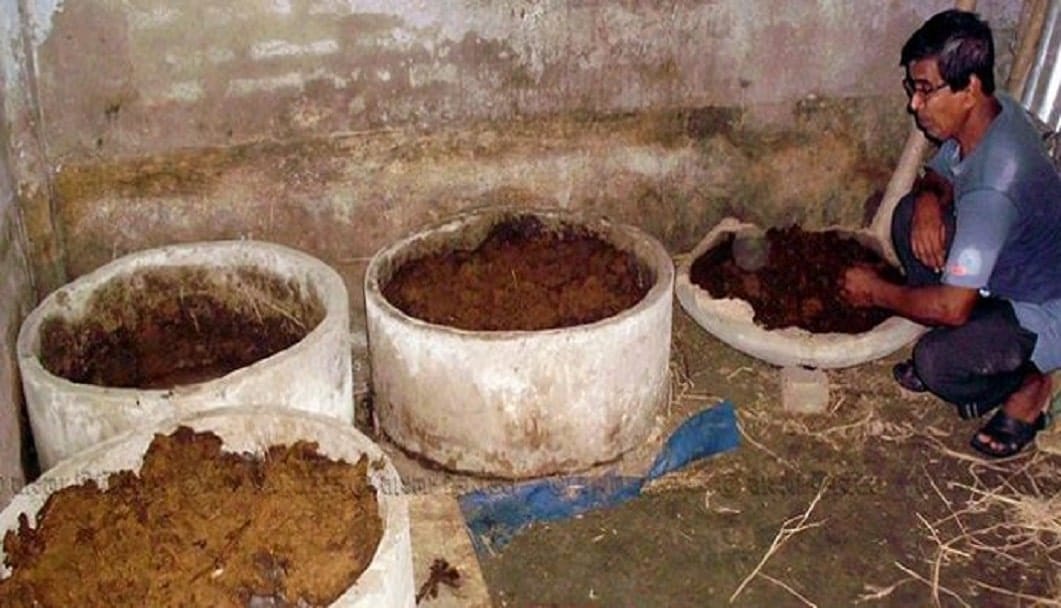 গোবর সার