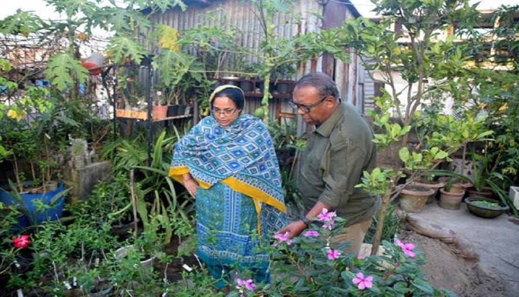 ছাদ কৃষি